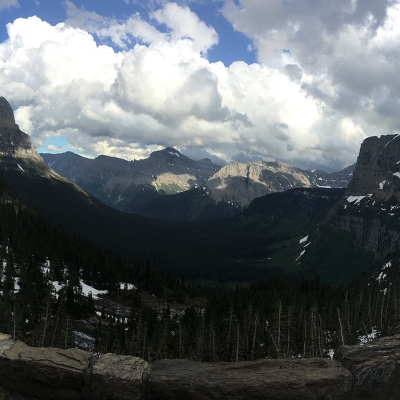 Meet your Posher, Sephine - Picture 1 of 1